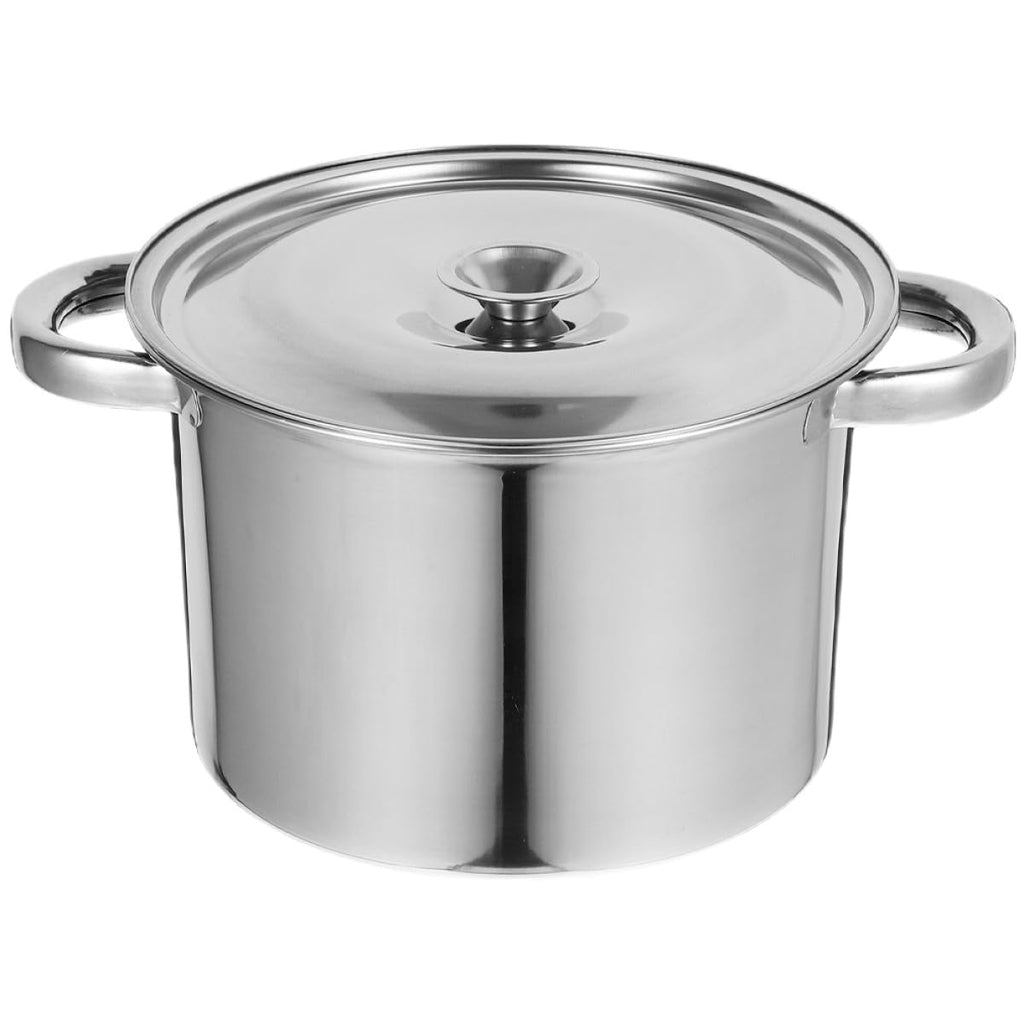 Stainless Steel Double Handle Stock Pot with Lid B326