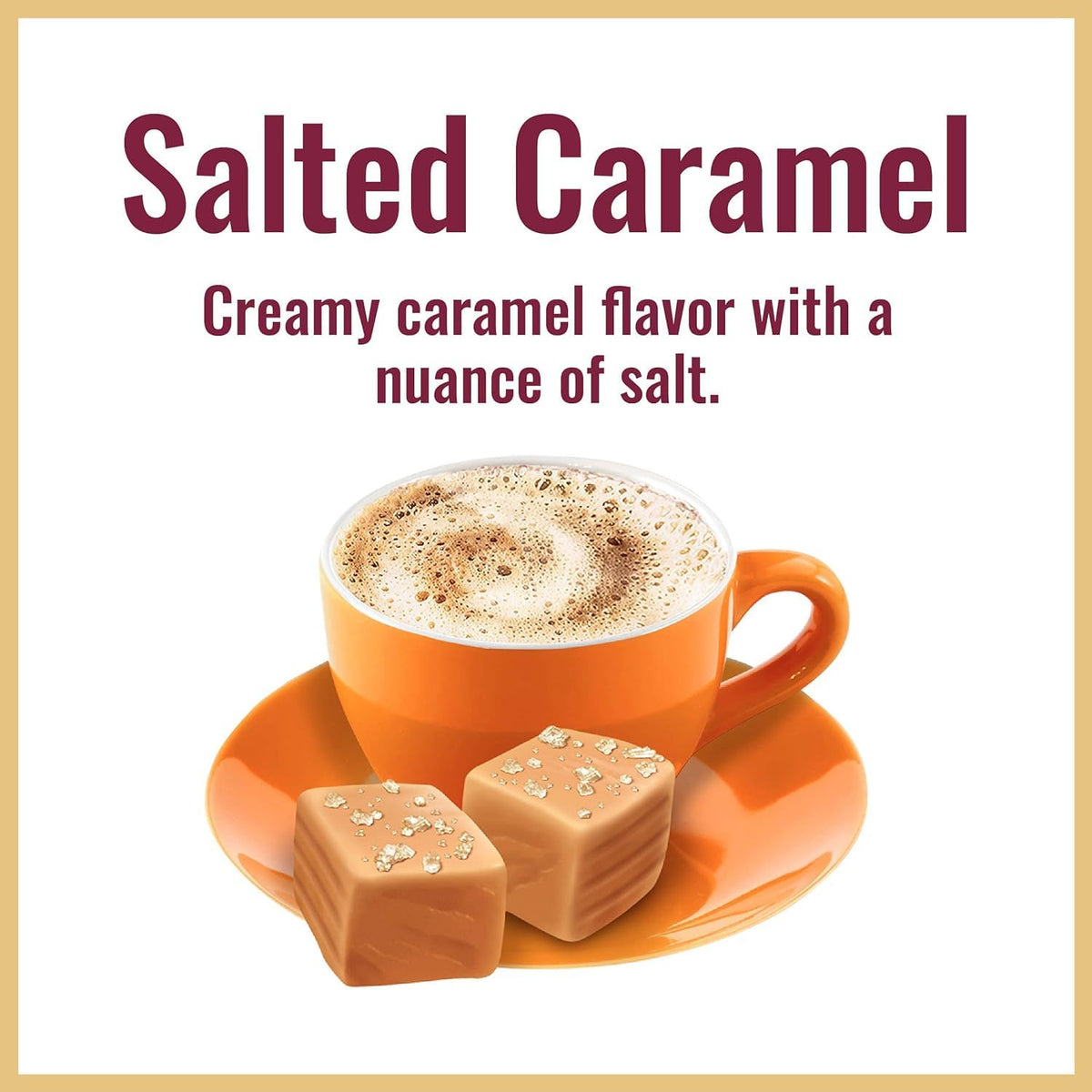 Salted Caramel Instant Cappuccino 14 oz Pack of 6 X2530