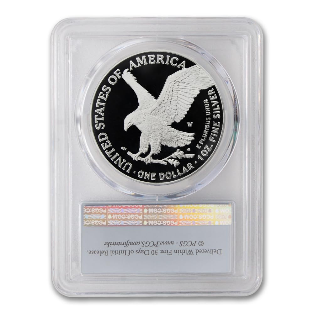 1 oz American Silver Eagle Coin E6997