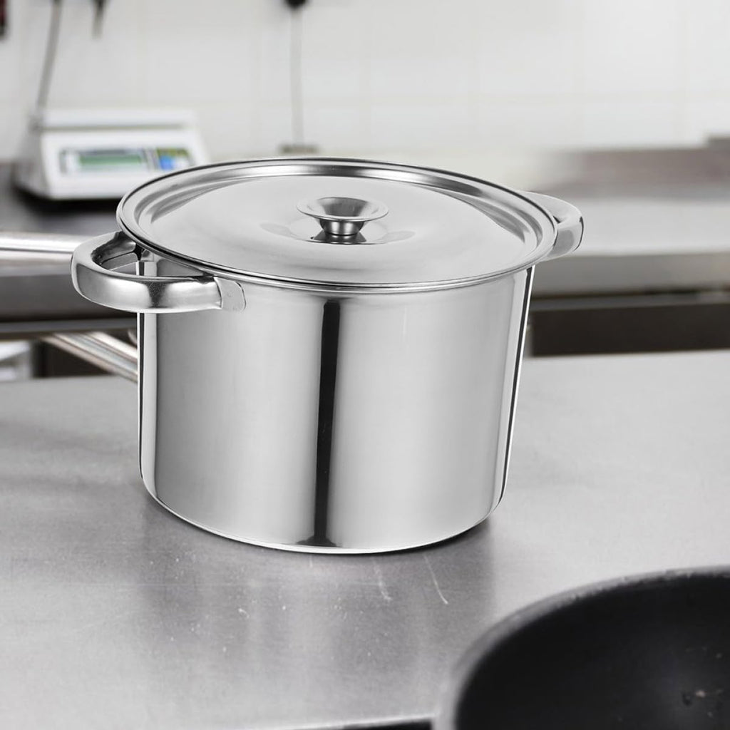 Stainless Steel Double Handle Stock Pot with Lid B326