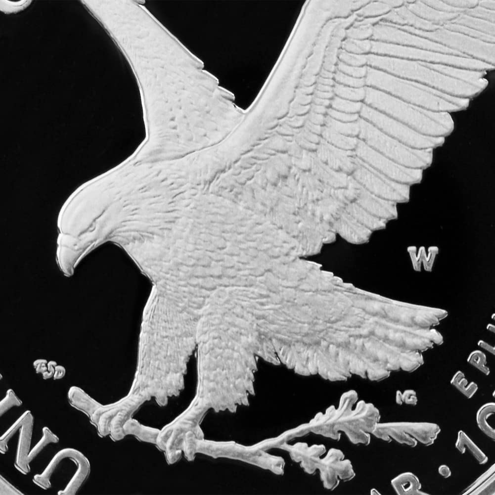 1 oz American Silver Eagle Coin E6997
