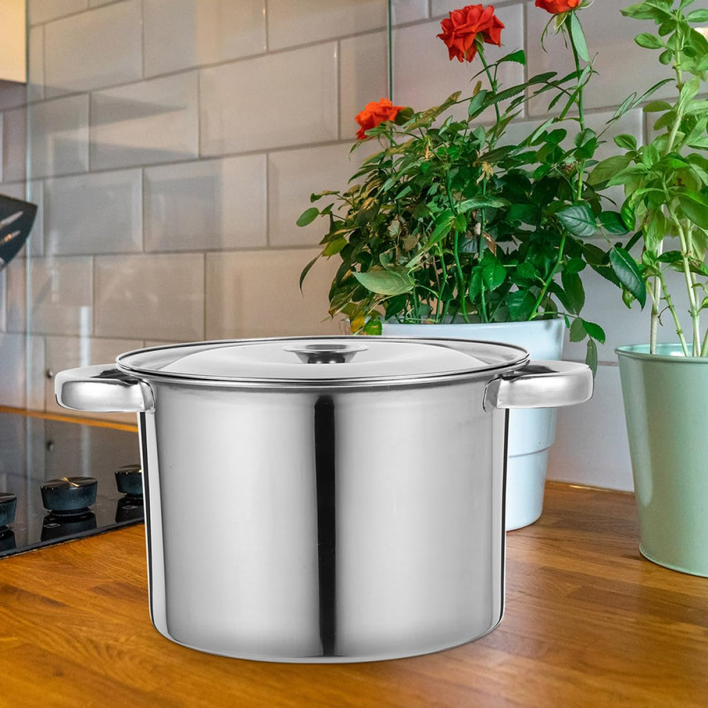 Stainless Steel Double Handle Stock Pot with Lid B326