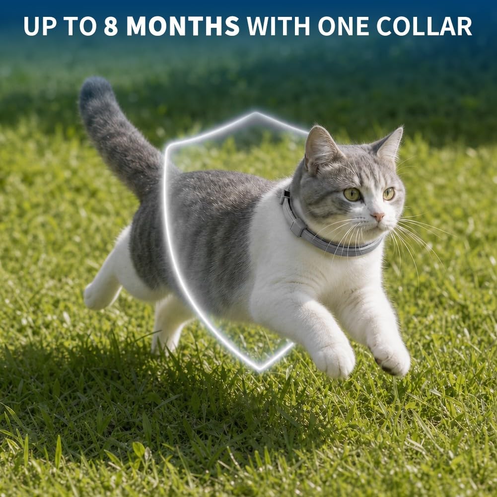 Cat Flea and Tick Collar 4 Pack M2015