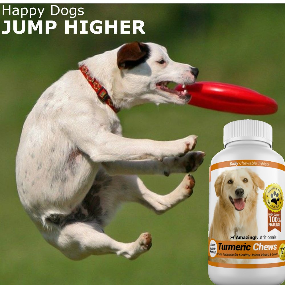 Joint Support Skin and Coat Health Bundle Turmeric Omega 3 O6711