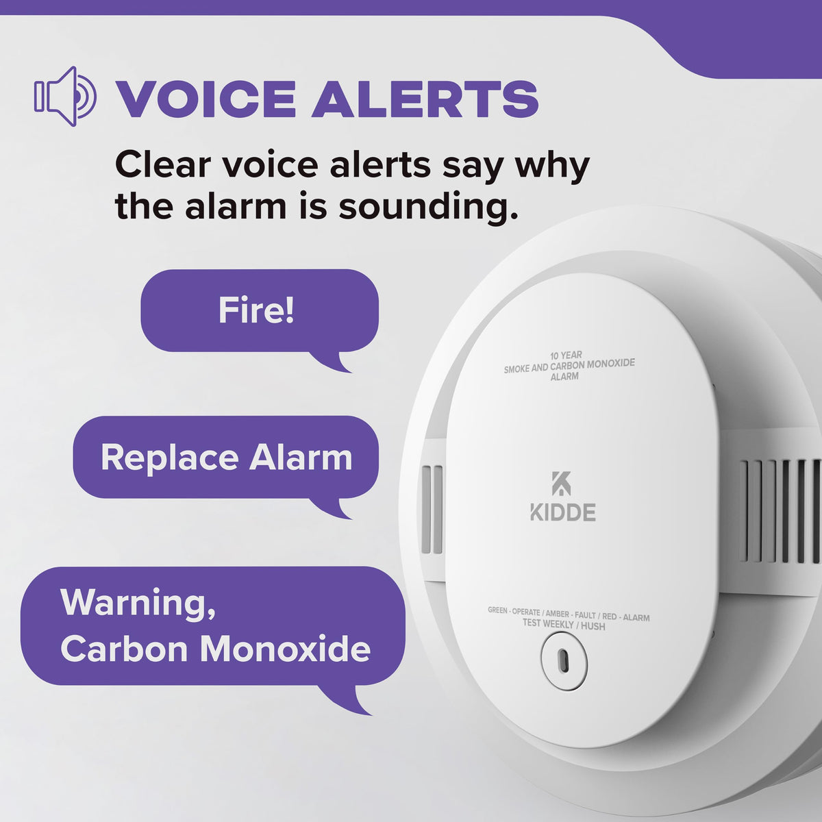 Smoke & Carbon Monoxide Detector, 10-Year Battery, 2 Pack P8325