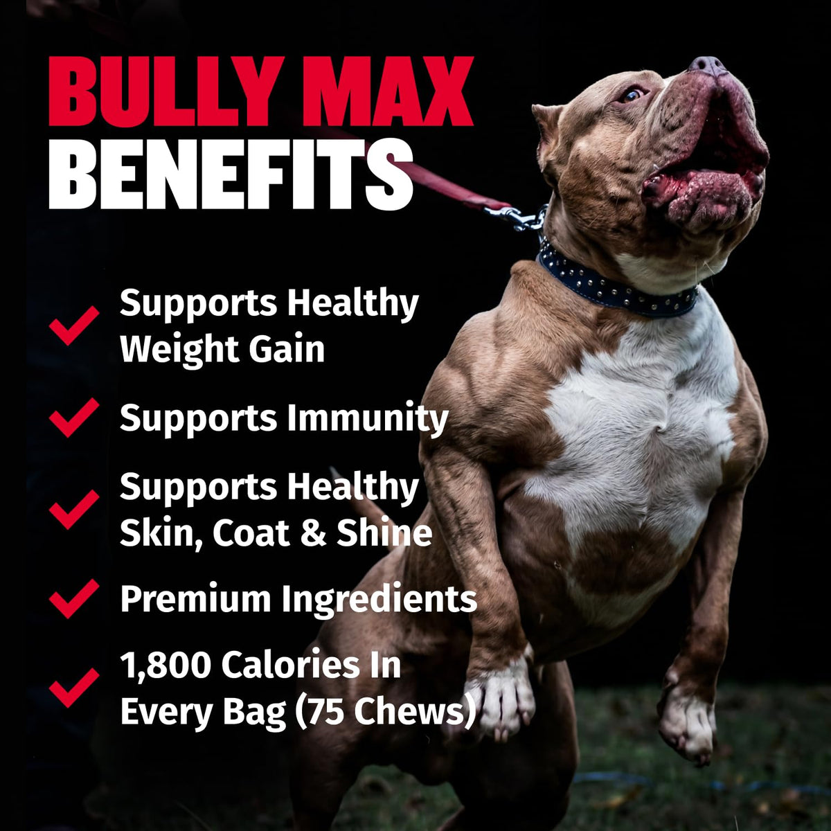 High Calorie Dog Weight Gainer Soft Chews 75 Chews I95481