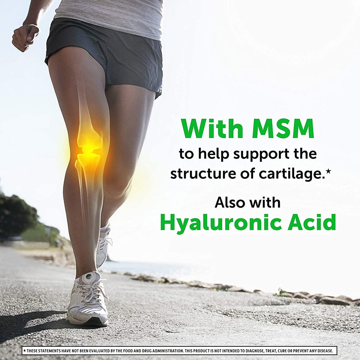 Glucosamine MSM Hyaluronic Acid Joint Supplement O4204