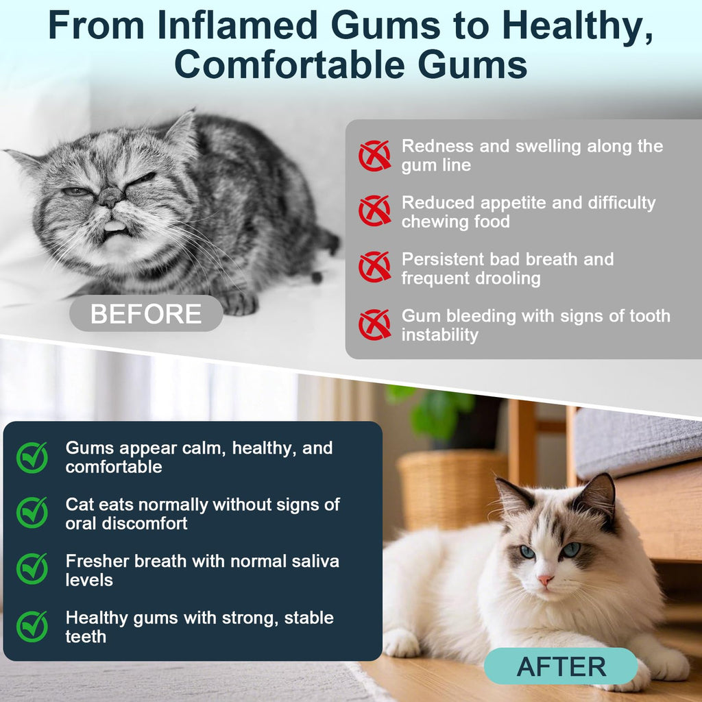 Natural Plant-Based Cat Oral Care A174