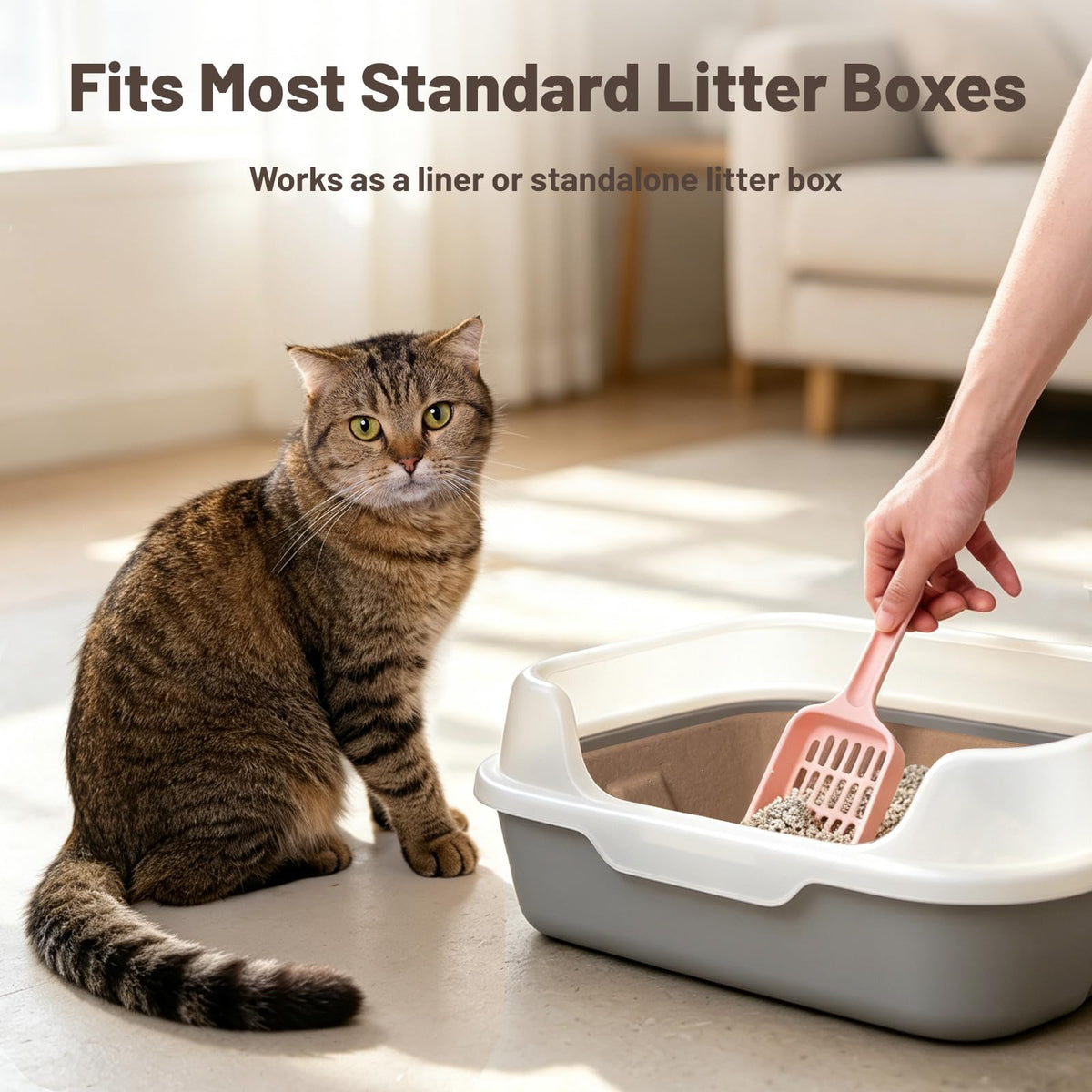 4 Pack Disposable Cardboard Cat Litter Boxes L790058