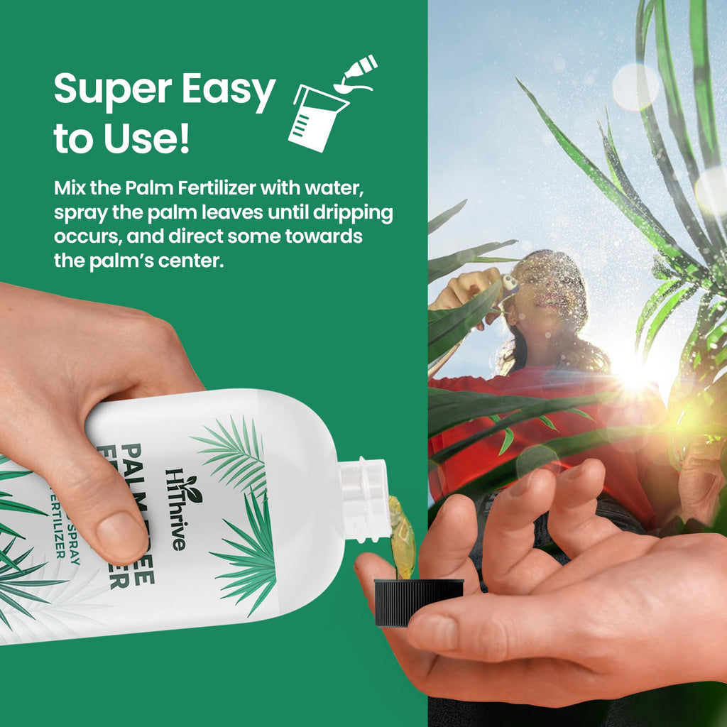16oz Palm Tree Fertilizer N2791