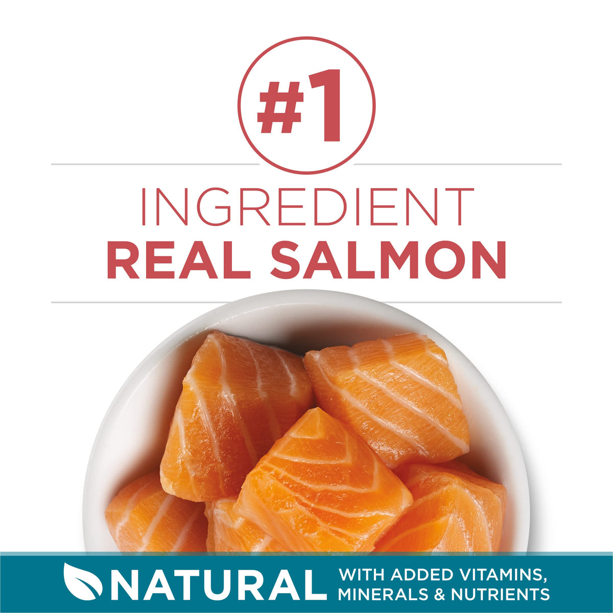 Dry Cat Food, Salmon, 7 lb Bag S60903