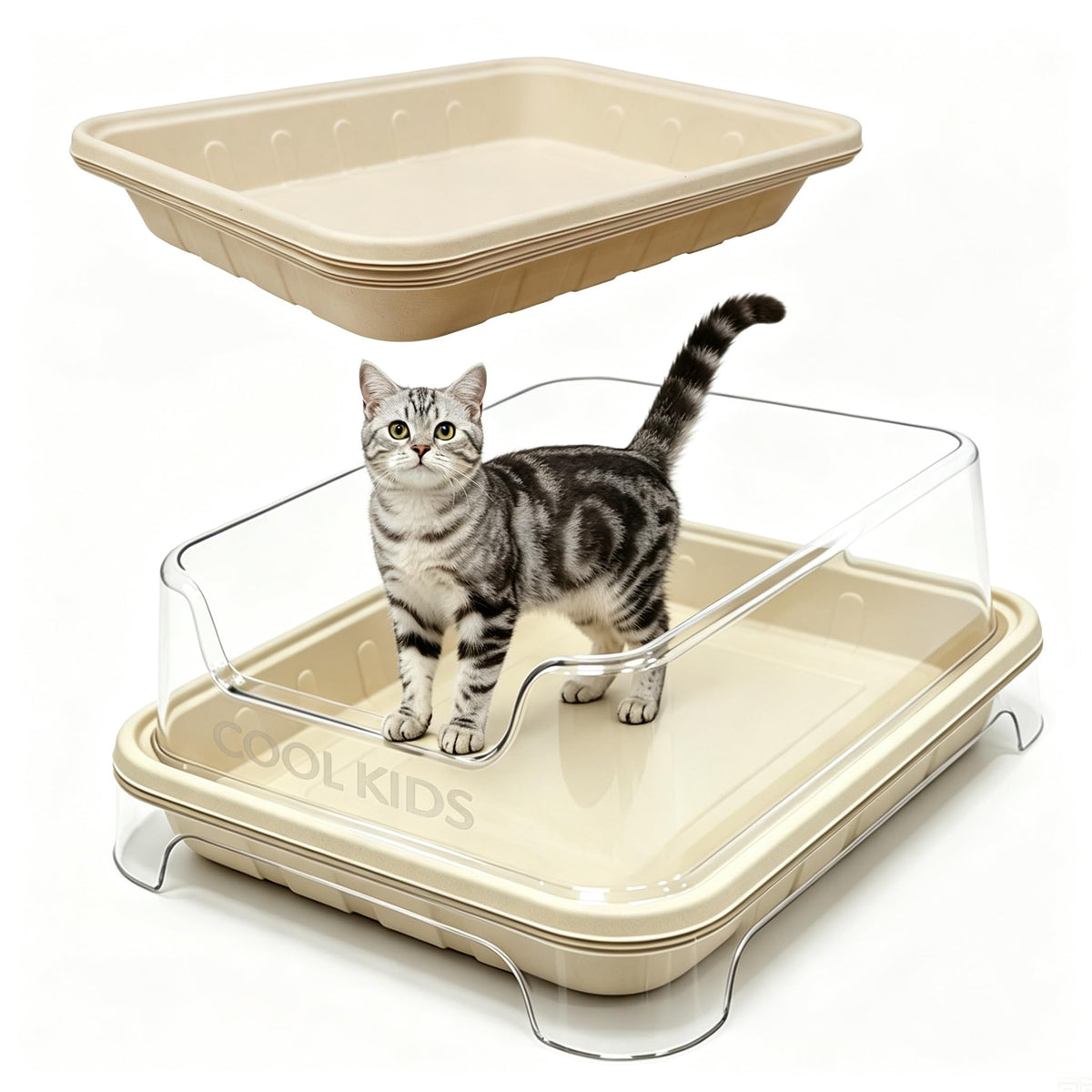 1+5 Pack Disposable Litter Boxes for Cats X18809