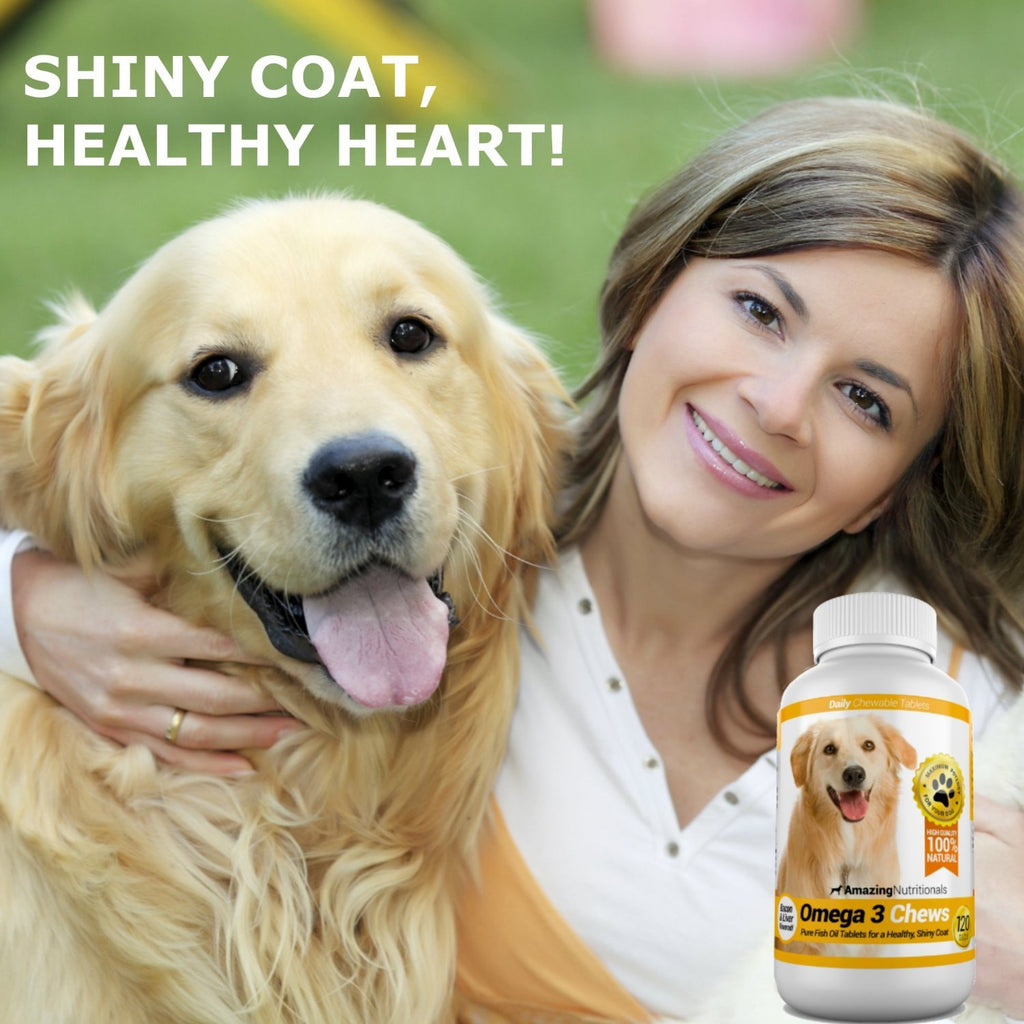 Joint Support Skin and Coat Health Bundle Turmeric Omega 3 O6711