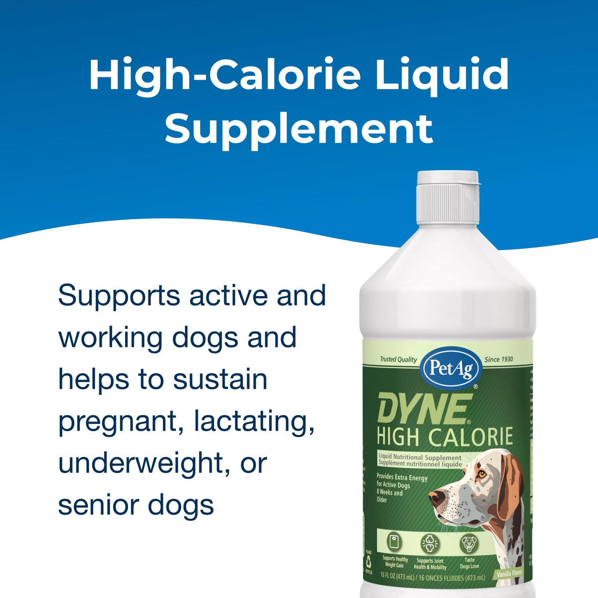 High Calorie Liquid Nutritional Supplement for Dogs & Puppies 16 oz B6295