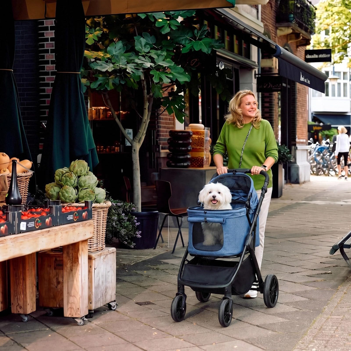 Foldable Dog Stroller O9084