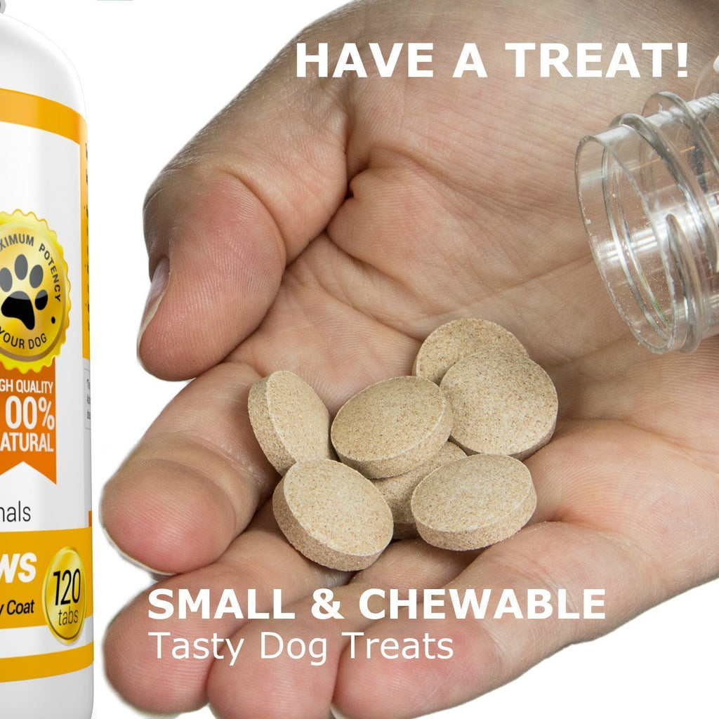 Joint Support Skin and Coat Health Bundle Turmeric Omega 3 O6711