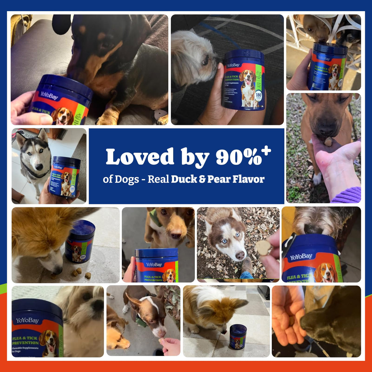 Dog Flea & Tick Prevention Chewables D1200