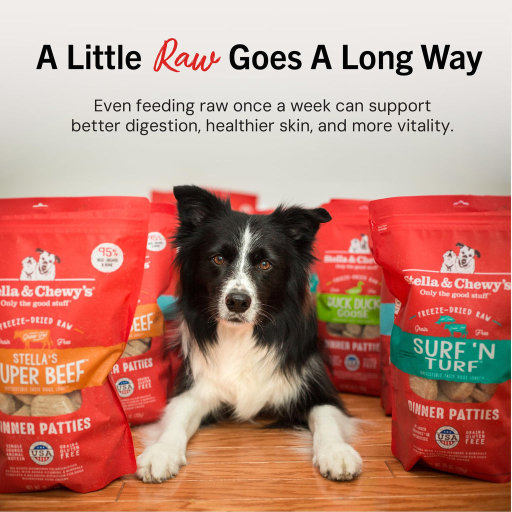 Freeze-Dried Raw Beef Grain-Free Dog Food 25 oz D76425