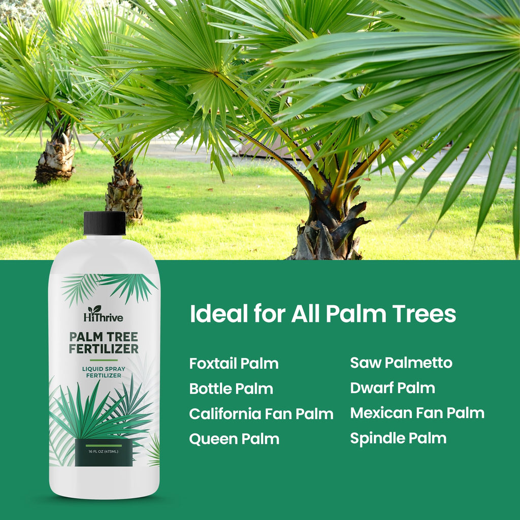 16oz Palm Tree Fertilizer N2791