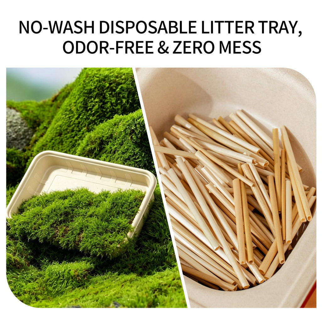 1+5 Pack Disposable Litter Boxes for Cats X18809