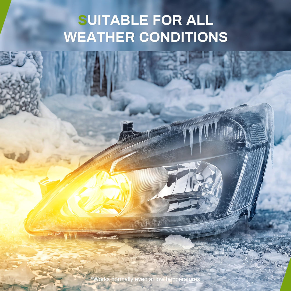 Headlight Assembly X689