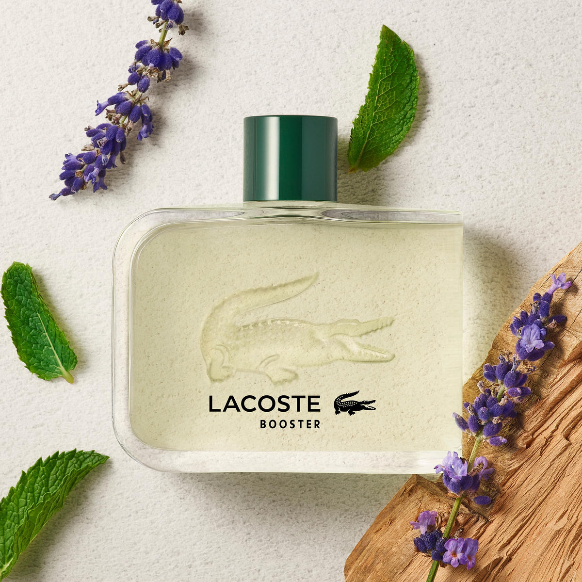 Eau de Toilette Men's Fragrance C942179